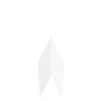 WS-logo